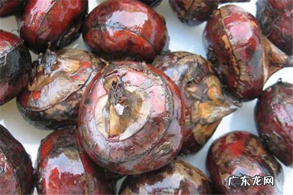 马蹄的功效与作用食用禁忌有哪些