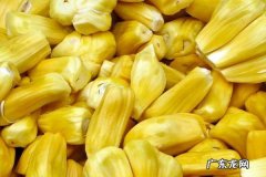菠萝蜜怎么吃菠萝蜜的营养价值