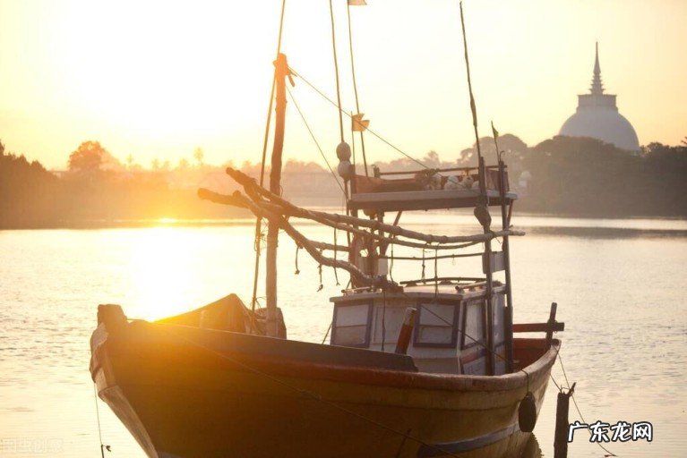 夏日幽静的诗句有哪些,十二首诗词中炎炎夏日不同的情思