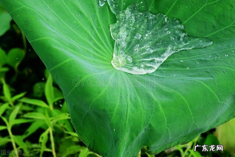 乘凉避暑的诗词有哪些?十二首写尽古人的乘凉之乐