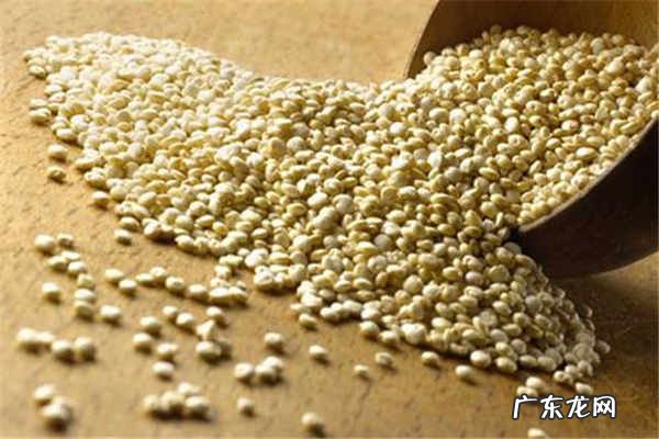 哪些人不适合吃藜麦需要注意什么