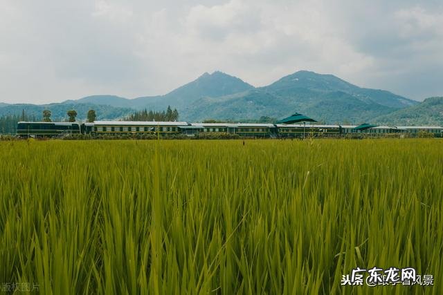 岩洞葬风水 火焰洞风水