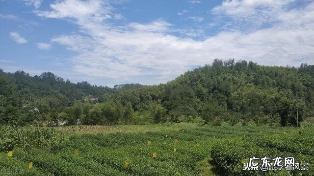 岩洞葬风水 火焰洞风水