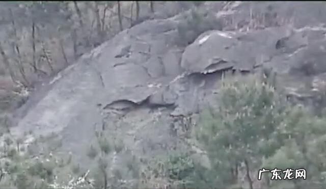 床头放一盆水有什么说法 床头放两瓶水的风水说法