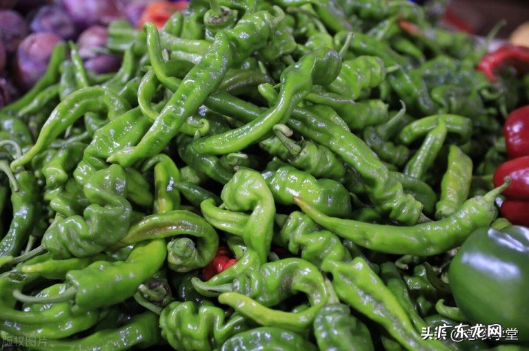今年辣椒价格多少钱一斤?最新辣椒价格行情预测