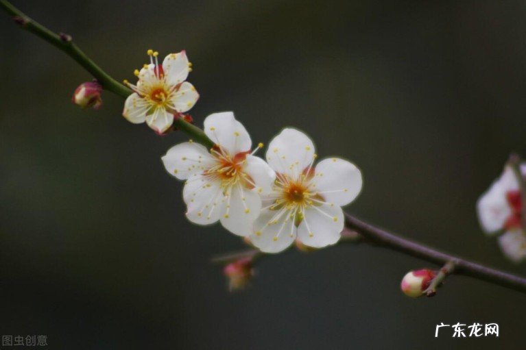 五首短小唯美诗词:说尽中年沧桑人生无常