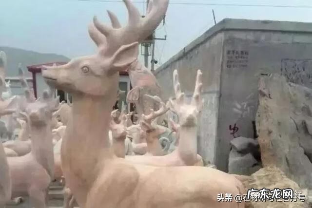 风水鹿有什么讲究