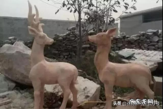 风水鹿有什么讲究