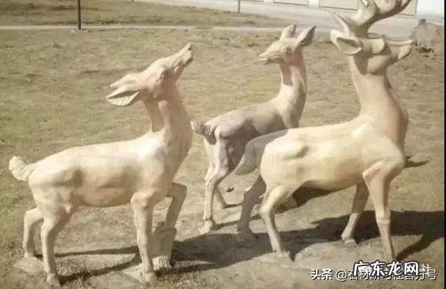 风水鹿有什么讲究