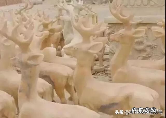 风水鹿有什么讲究