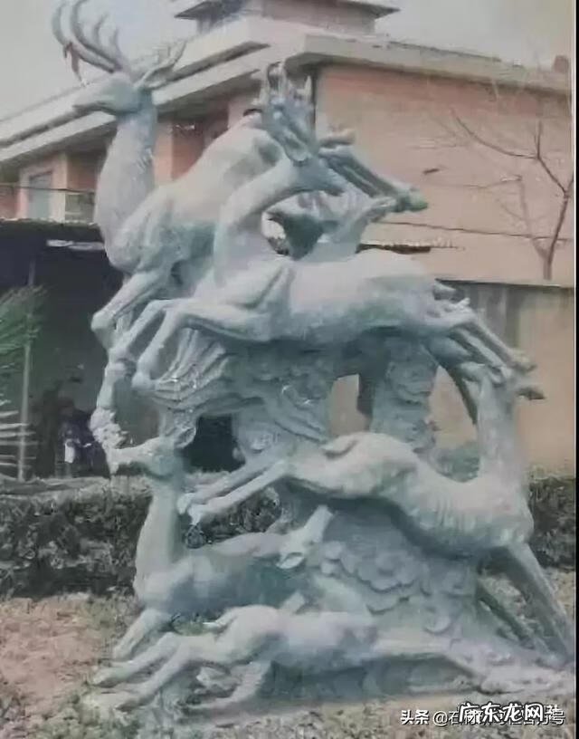 风水鹿有什么讲究