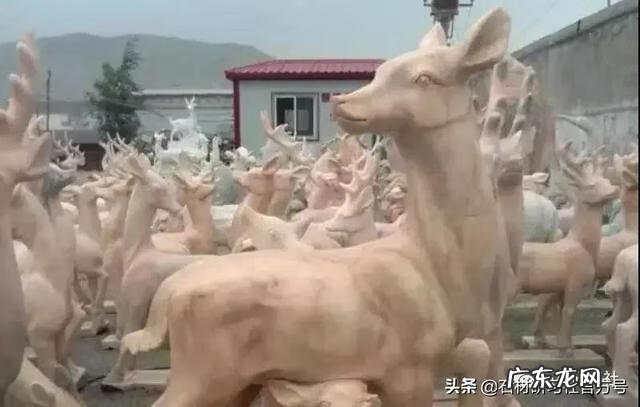 风水鹿有什么讲究
