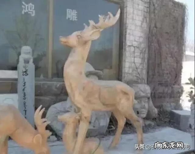 风水鹿有什么讲究