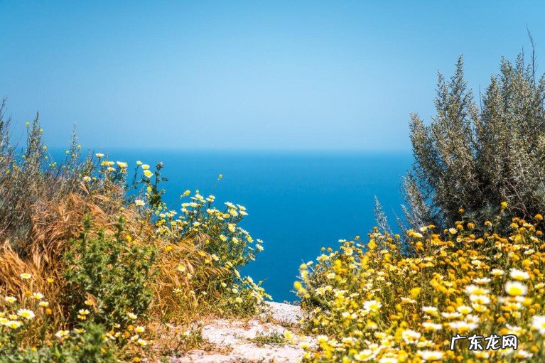 十二首诗僧的诗,诗中有美景 诗僧的诗词有哪些