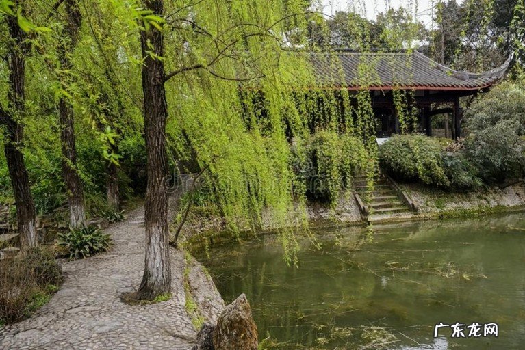 十二首诗僧的诗,诗中有美景 诗僧的诗词有哪些