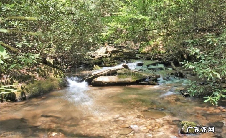 十二首诗僧的诗,诗中有美景 诗僧的诗词有哪些