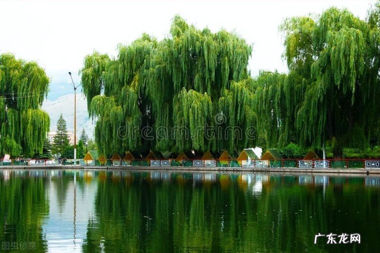 十二首诗僧的诗,诗中有美景 诗僧的诗词有哪些