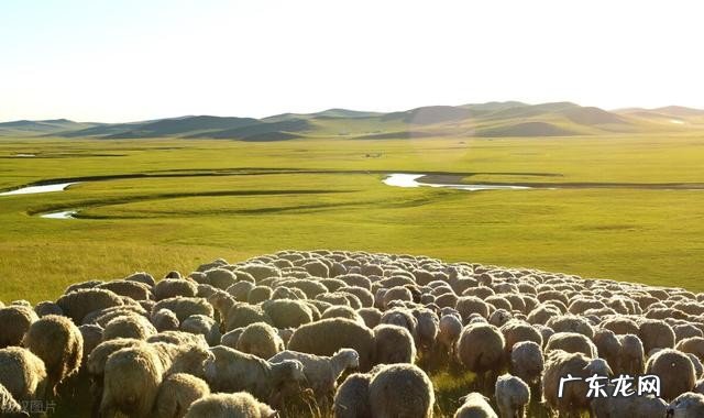 智利是哪个国家？智利人的生活方式是什么样的