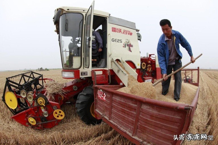 今年小麦最低保护价多少钱一斤？近五年小麦最低保护价格是多少？