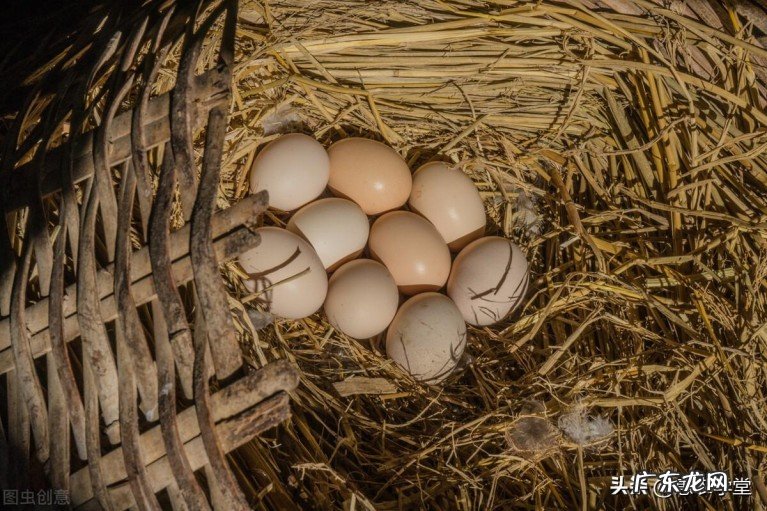 今天的鸡蛋价格是多少钱一斤？导致鸡蛋价格飞涨的原因是什么？