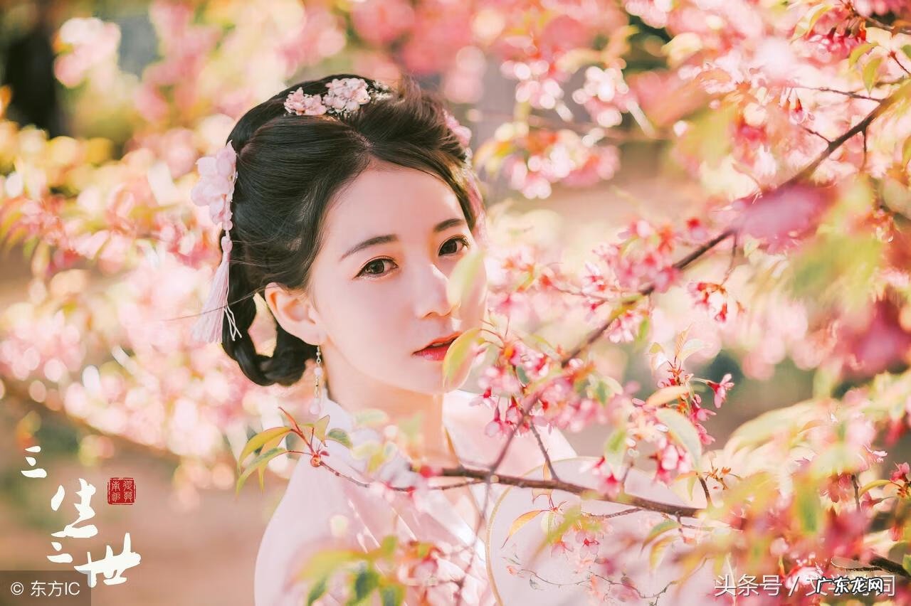 尊前拟把归期说的意思