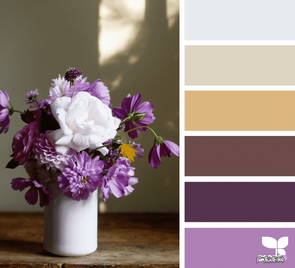 怎么样才能调出紫色 紫色怎么调出来的颜色