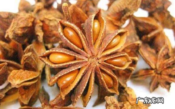 大茴香的功效与作用对人体有哪些好处