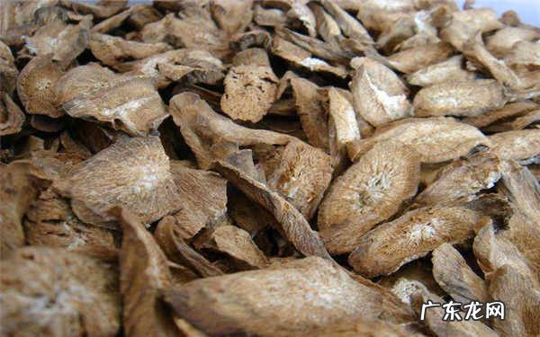 牛蒡茶不适合什么人喝一天喝多少最好