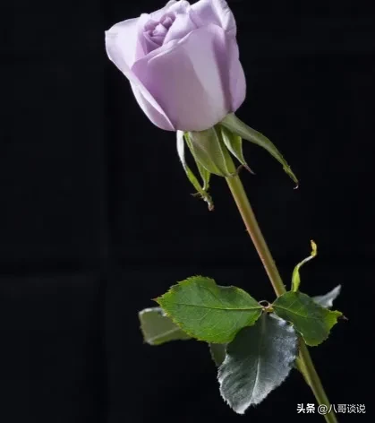 斯洛伐克的首都在哪里？斯洛伐克人的生活方式是怎样的