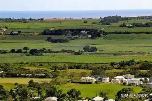 巴巴多斯岛是哪个国家?巴巴多斯人的生活方式是怎么样的