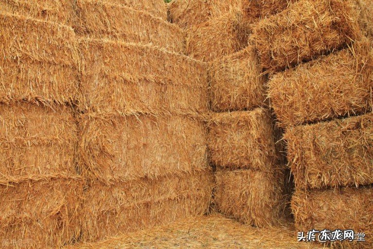 今年秸秆补贴能领多少钱?2022秸秆补贴最新标准