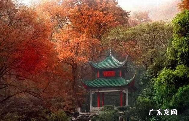 楼顶做花园风水好吗 岳麓山楼顶风水好吗吗