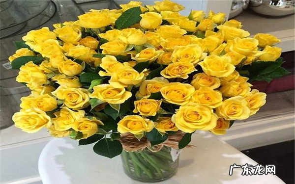 黄玫瑰代表什么意思有哪些寓意