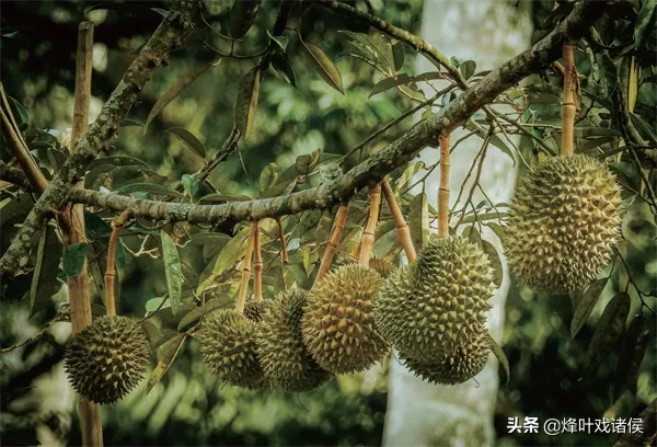 新加坡旅游景点盘点 新加坡是哪个国家