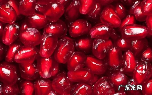 中国最好吃石榴排名哪些品种最受欢迎