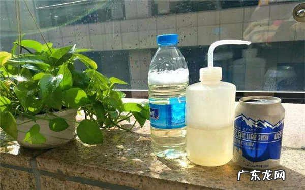 啤酒打开几天可以浇花多久可以一次