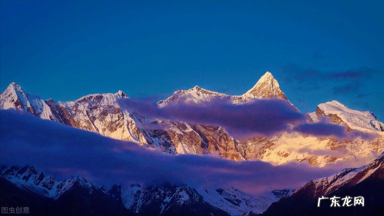 西藏墨脱发现新树王高达76.8米 青藏高原上参天大树图片