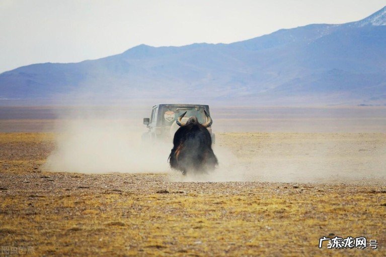 羌塘无人区到底是一个怎样的地方?羌塘无人区里的十大危险