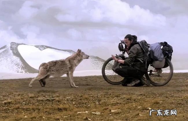 羌塘无人区到底是一个怎样的地方?羌塘无人区里的十大危险