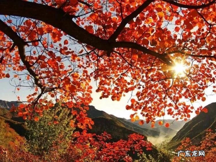 襄阳十二大旅游景点推荐 襄阳旅游景点有哪些值得去的