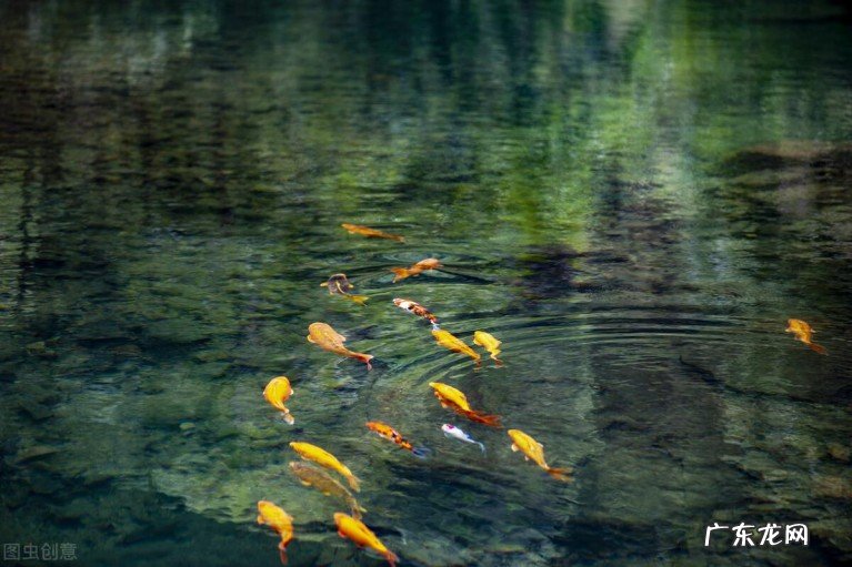 十二首沧浪诗词濯沧浪而隐逸 关于沧浪诗词有哪些