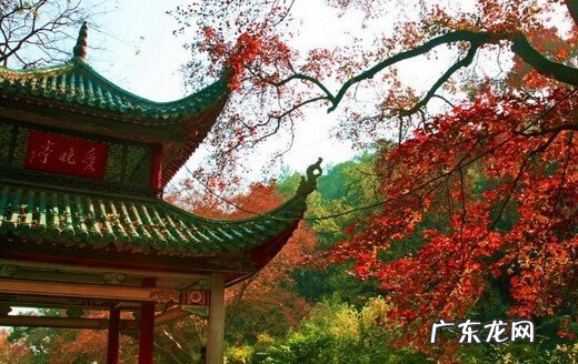 中国历史名亭众多,你觉得哪一个值得一去呢?