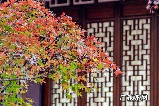 20首经典闺怨诗，每一首都悱恻动人，你最喜欢哪一首？