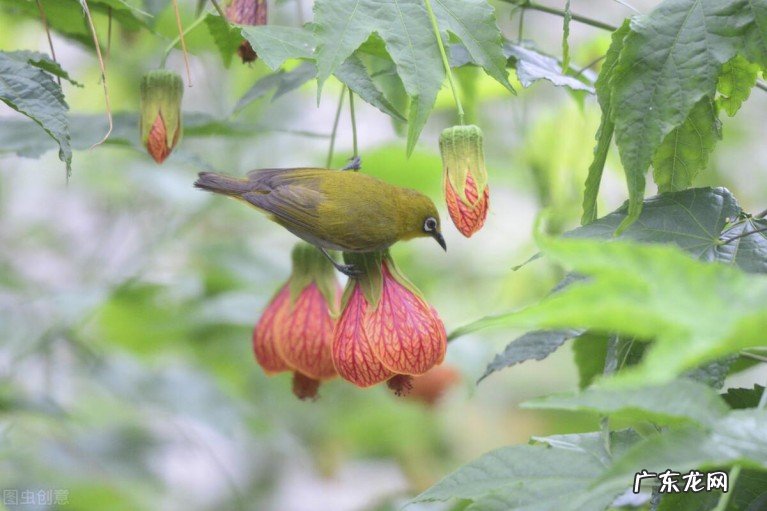 诗意山居生活的十六首古诗 关于诗意山居的诗句有哪些