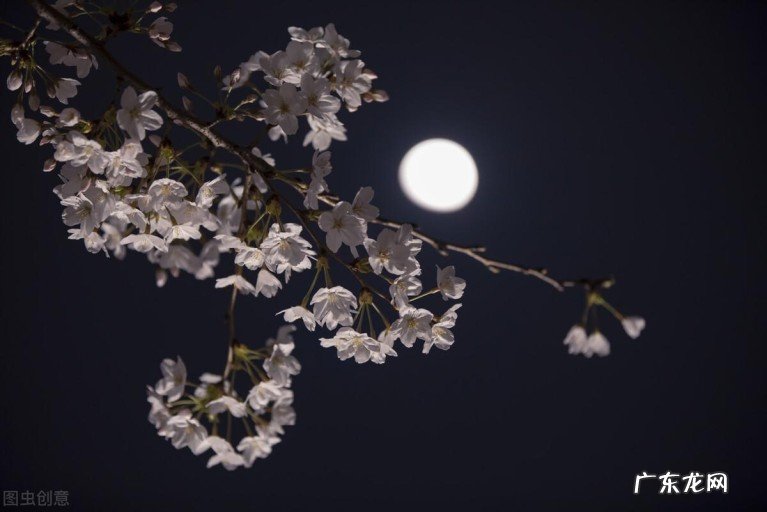 三位诗人的花月连珠诗,唐伯虎诗婉约,影响了红楼梦诗词