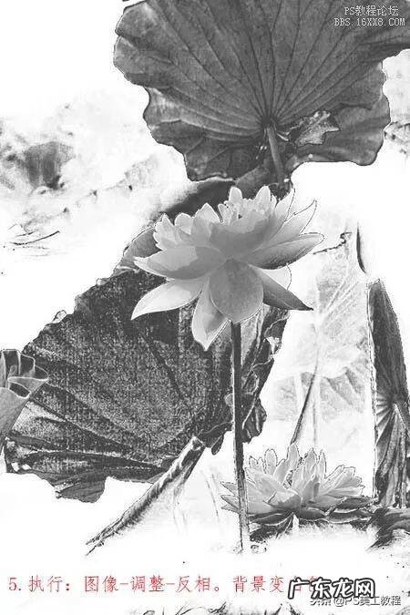 水墨画文字素材 水墨画配字素材