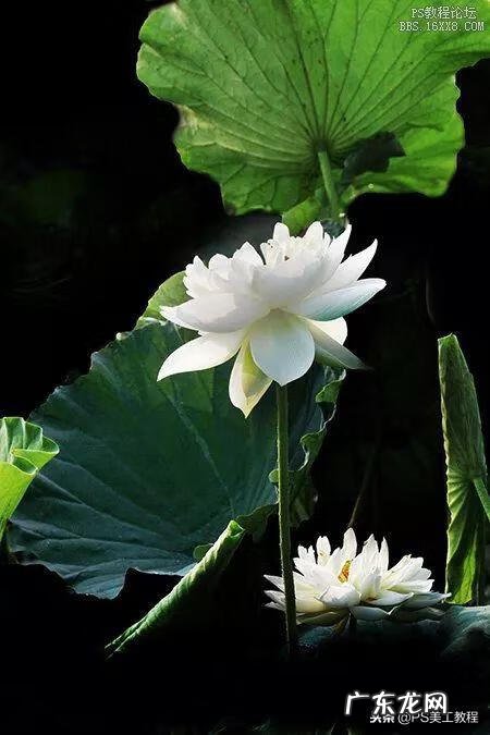 水墨画文字素材 水墨画配字素材