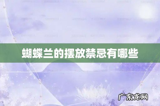 蝴蝶兰的摆放禁忌有哪些