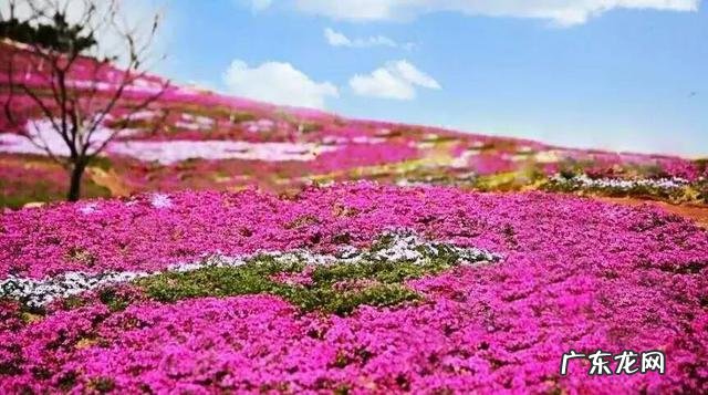 迁西县石井满 迁西县的风水大师