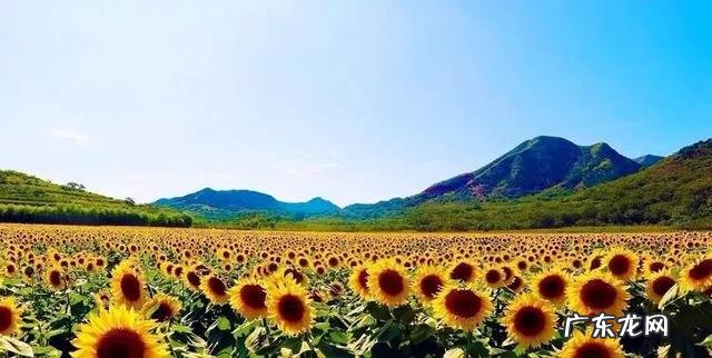 迁西县石井满 迁西县的风水大师